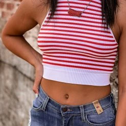 Gypsy Waltz New Pittsburg Striped Top In Red