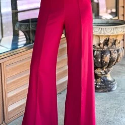 Gypsy Waltz Ector Pants In Maroon Clothing