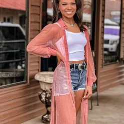 Gypsy Waltz Little Elm Mesh Swiss Dot Button Up Top Clothing