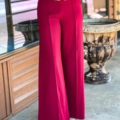 Gypsy Waltz Ector Pants In Maroon Clothing