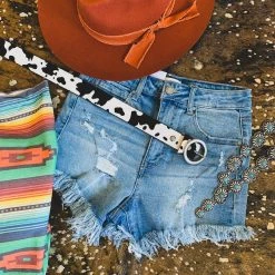 Anzell (fashion Go) Clearance The Albany Bellt (4 Colors)