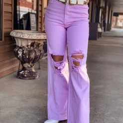 Gypsy Waltz Aledo Pants In Lavender Clothing