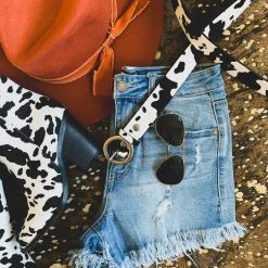 Anzell (fashion Go) Clearance The Albany Bellt (4 Colors)